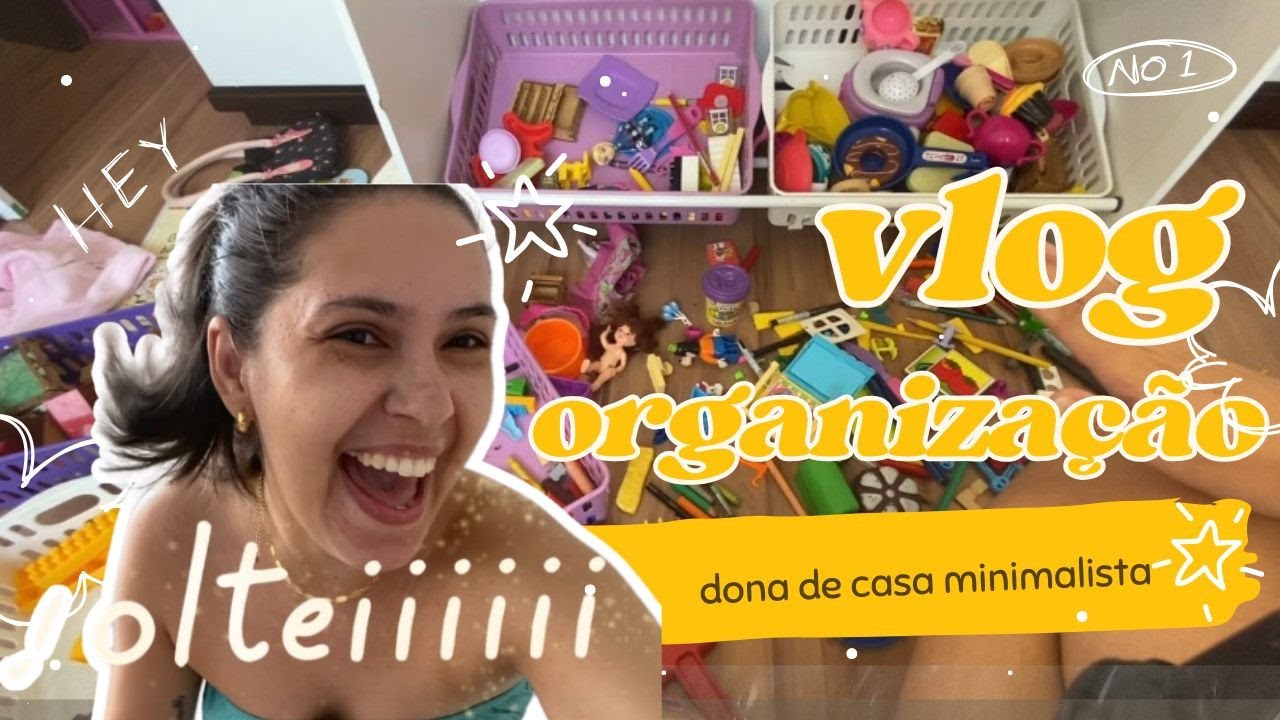COMO ORGANIZAR BRINQUEDOS DAS CRIANÇAS DE MANEIRA PRATICA E RAPIDA I DONA DE CASA MINIMALISTA EP:01