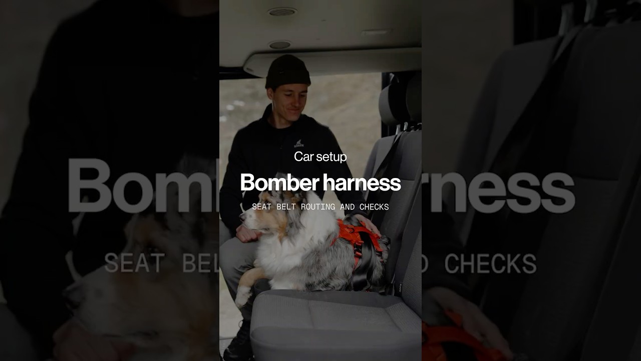 Säker | How to use your Bomber harness in the car