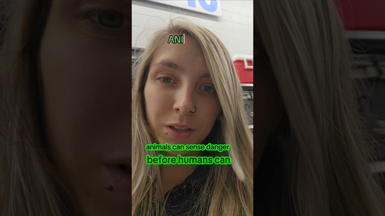 ways your guides or angels communicate with your #trendingshorts #angelnumber #angelguide #angel