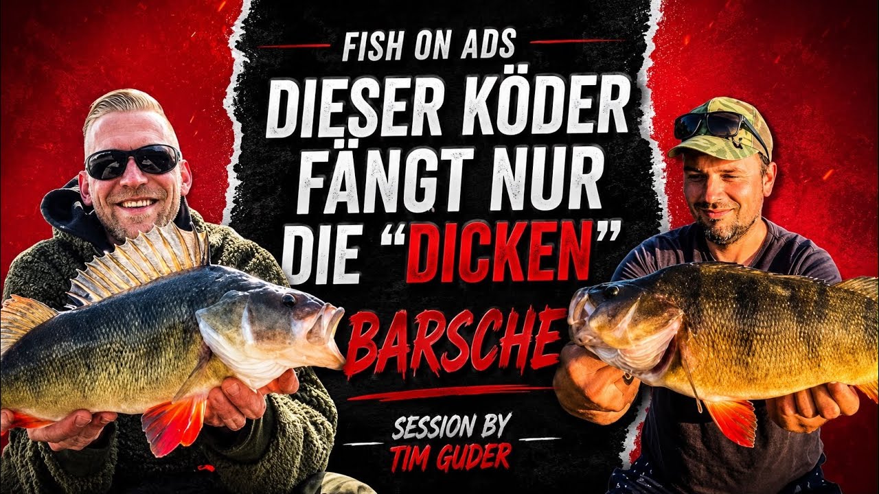 Dieser K&ouml;der f&auml;ngt nur die 