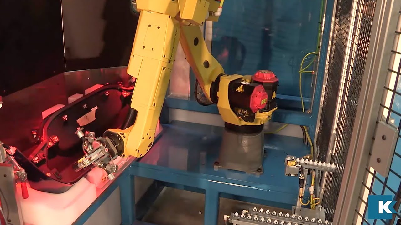 Vision and Scanning Automation Systems