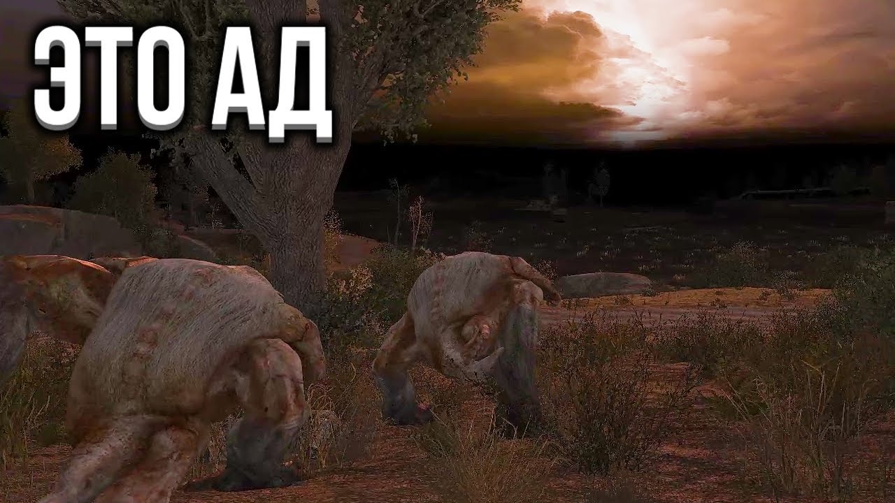 Самая Сложная Локация - STALKER Рейд во Мрак Anomaly