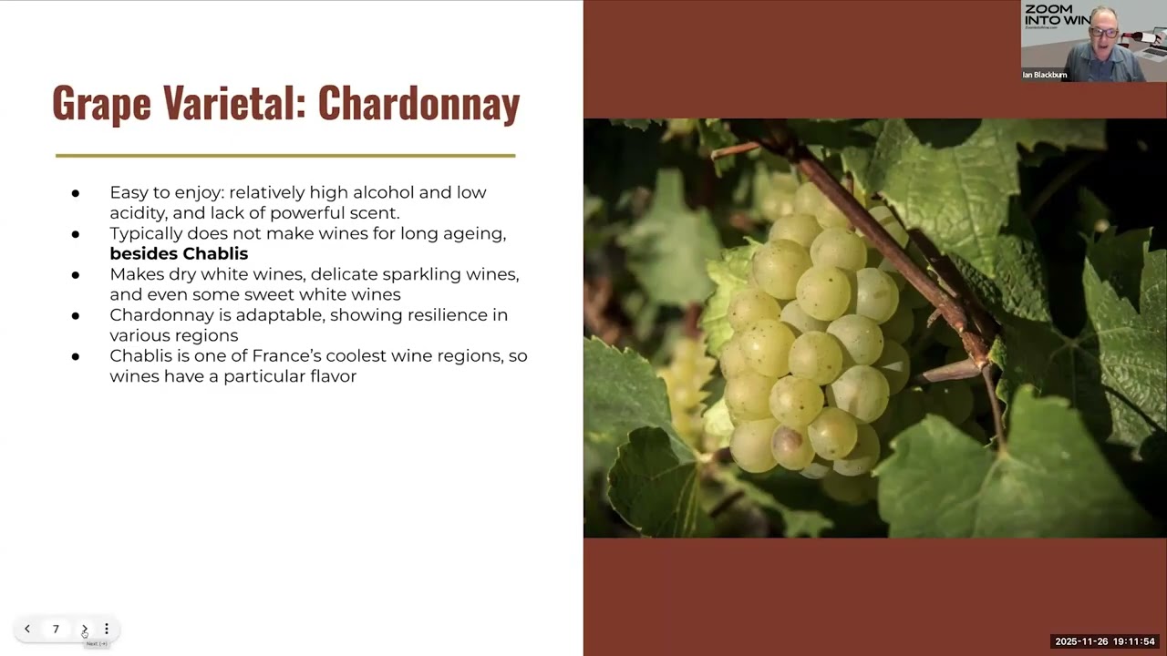 Zoom Into Wine | Burgundy AOC Wines Prime Examples