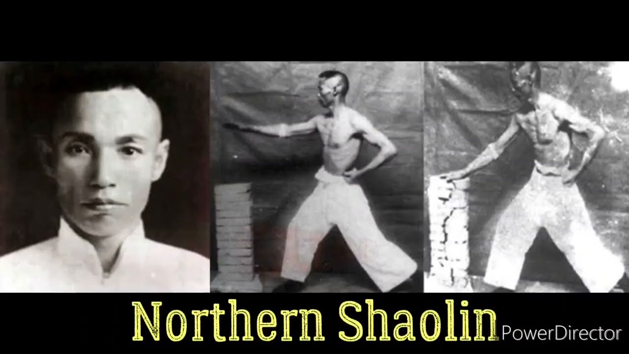 連 環 / Lián Huán - (Chains of multiple strikes) Northern Shaolin #9 Gu Ruzhang Lineage