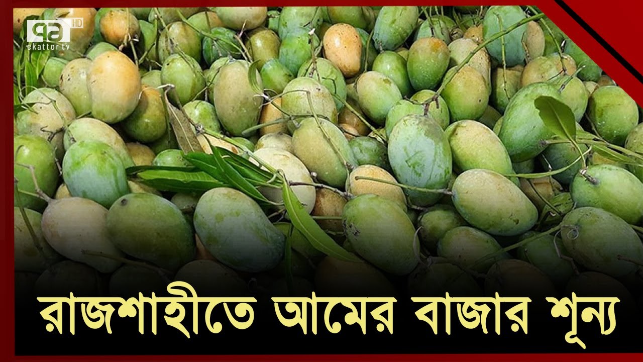 রাজশাহীতে আমের বাজার শূন্য  | Rajshahi | Ekattor TV