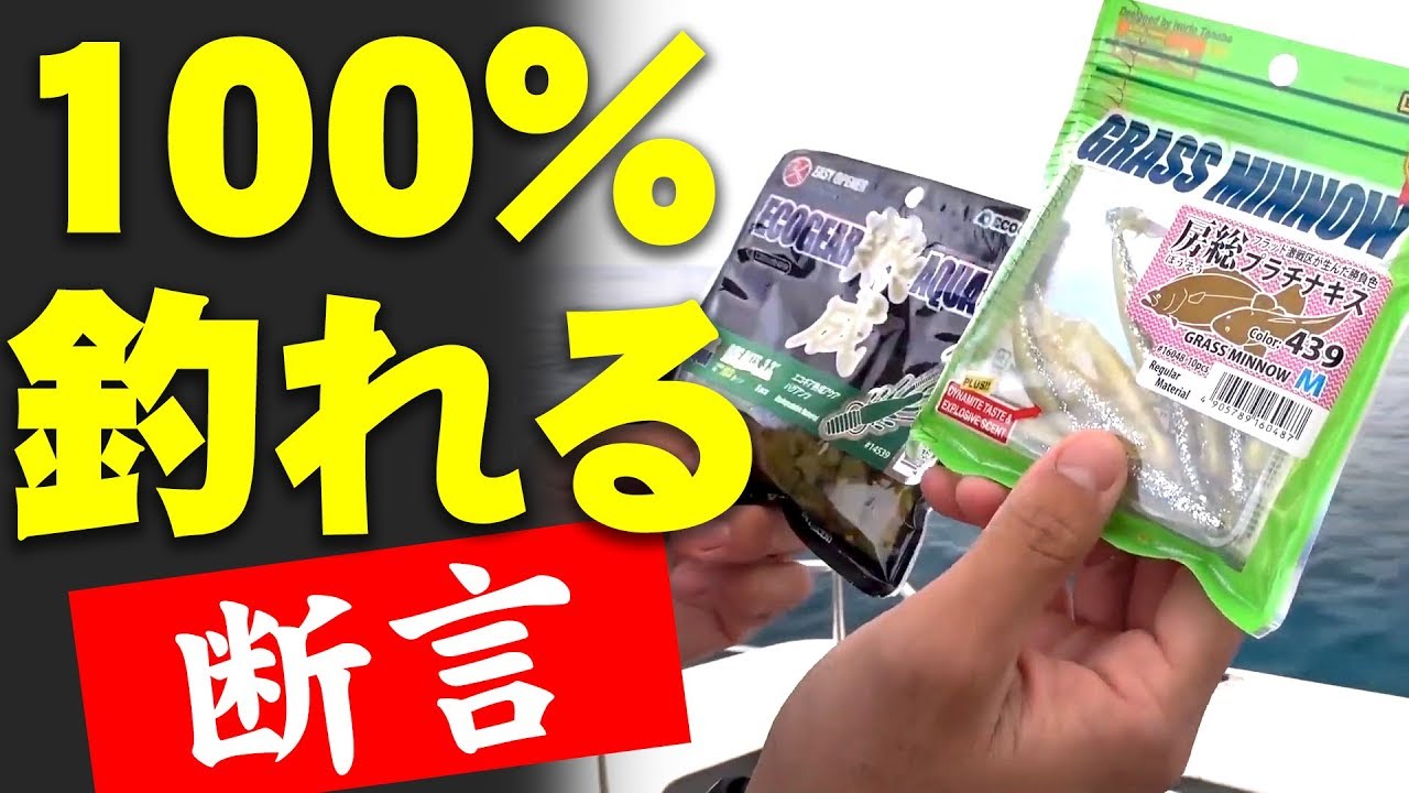 100％釣れる釣り【ワーム編】【前編】100% Successful Fishing【MT】