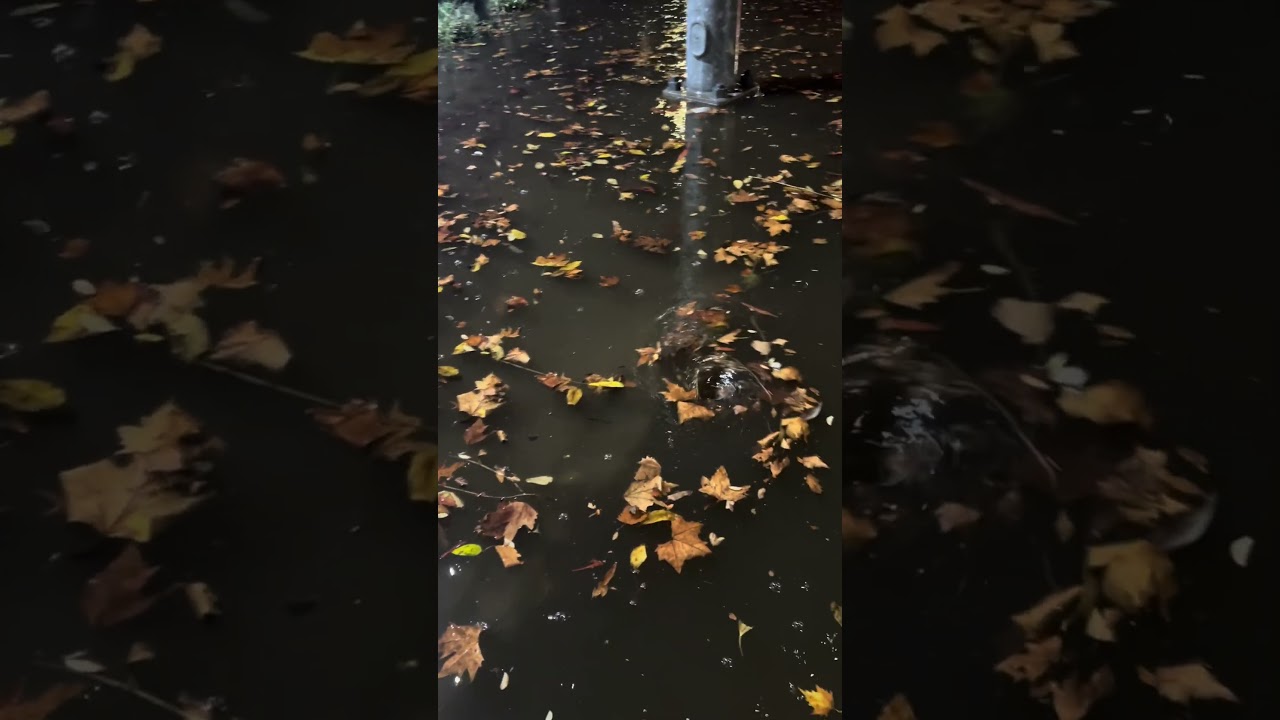 Мне нравится откачивать воду из затопленных районов ради удовольствия. #bayarea #whirlpool #unclo...