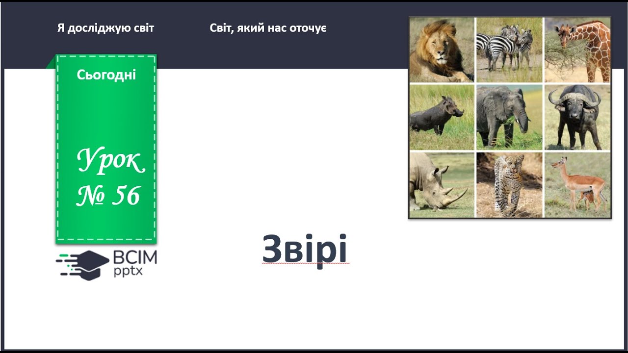 ЯДС 1 клас. Урок 56. Звірі.
