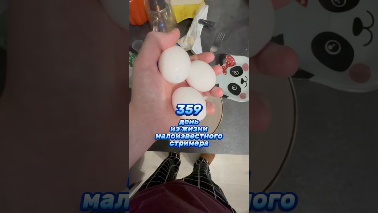 359й день из жизни малоизвестного стримера #влог #twitch #vlog