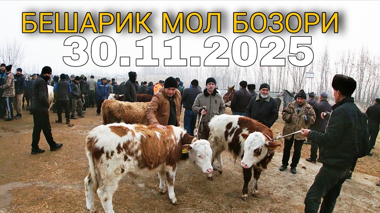 Бешарик мол бозори 2025 Beshariq mol bozori 