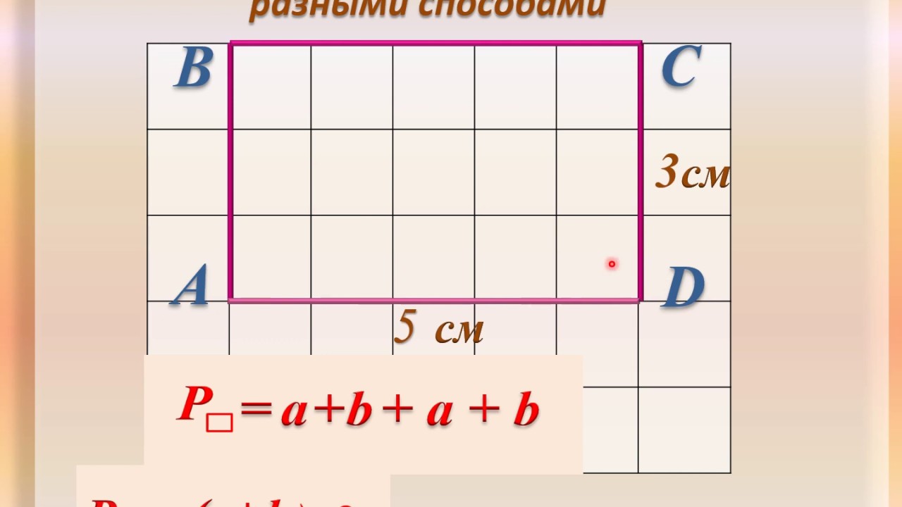 Как найти периметр прямоугольника и квадрата