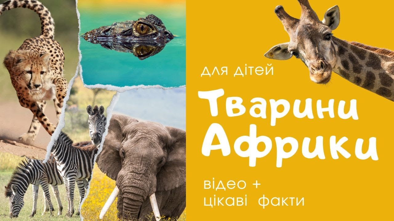 20 ТВАРИН АФРИКИ розвиваючі відео для дітей. Назви тварин та цікаві факти. Українською мовою.