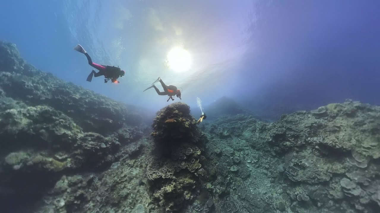 wilddiving西表島360カメラ1