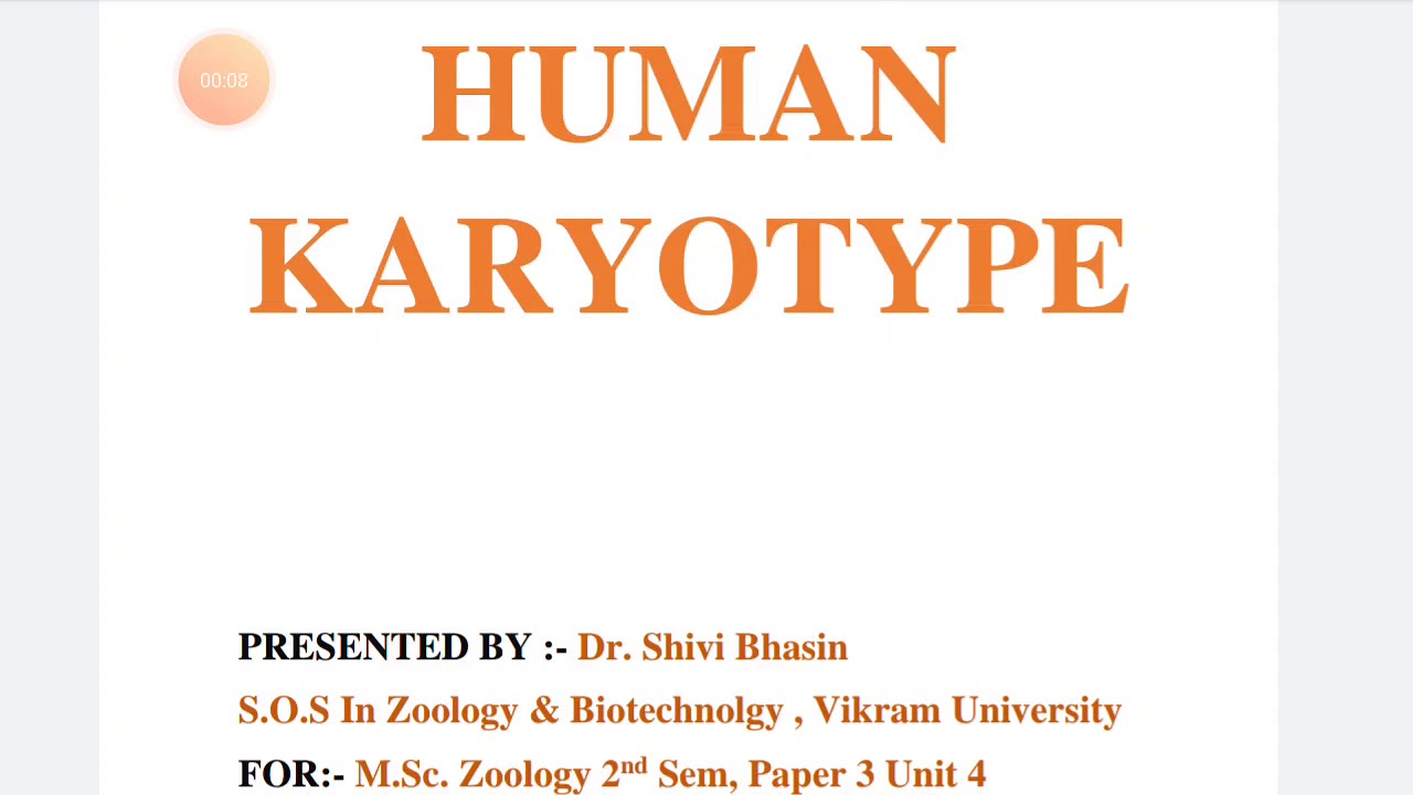 Human Karyotype