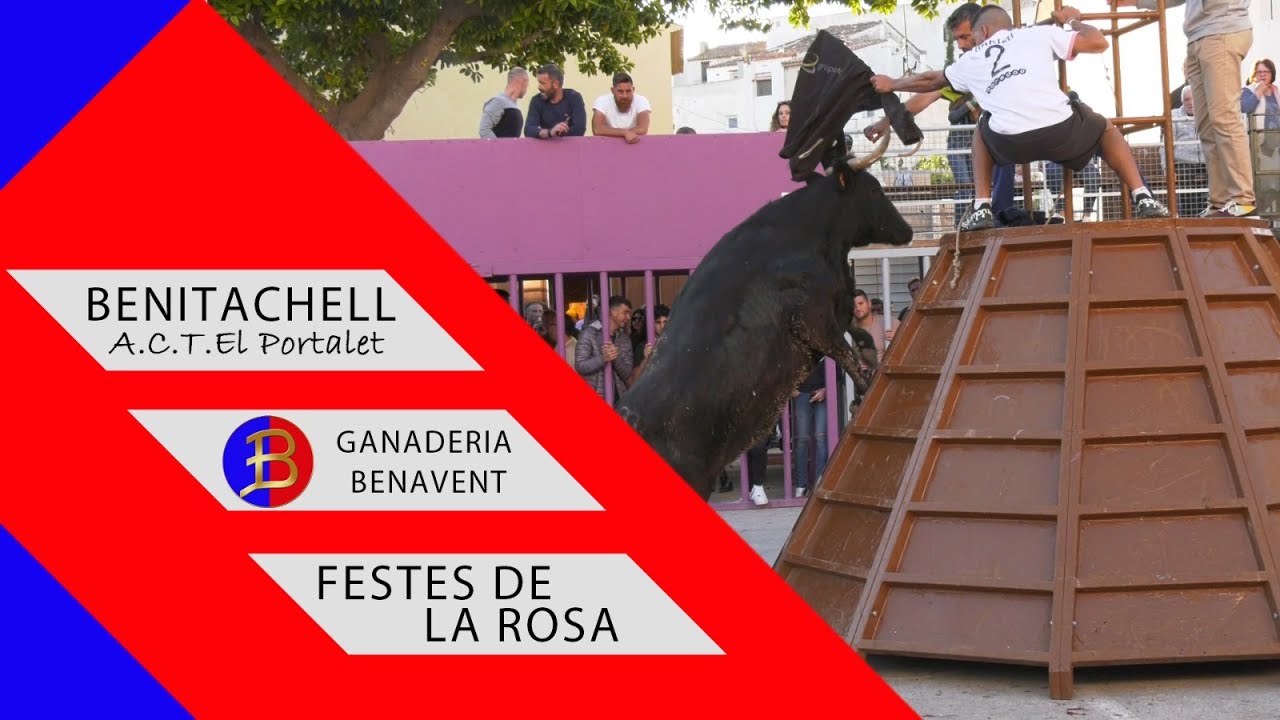 🔝 Benitachell 06 05 22 ◾ Ganader&iacute;a Benavent ◾ A.C.T. El Portalet ◾ Festes de la Rosa 🔝