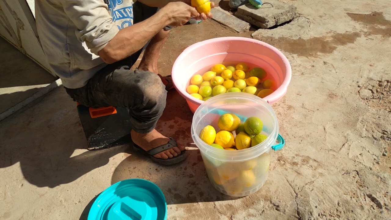 مع هد موسم الحامض هاهي الطريقة باش🍋🍋🍋🍋🍋 تستاغليه