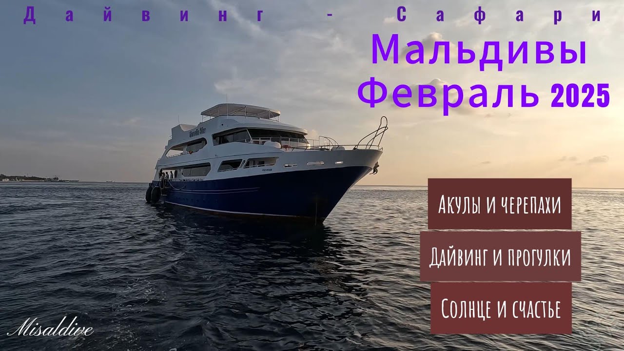 Мальдивы Сафари с Предельной глубиной Февраль 2025