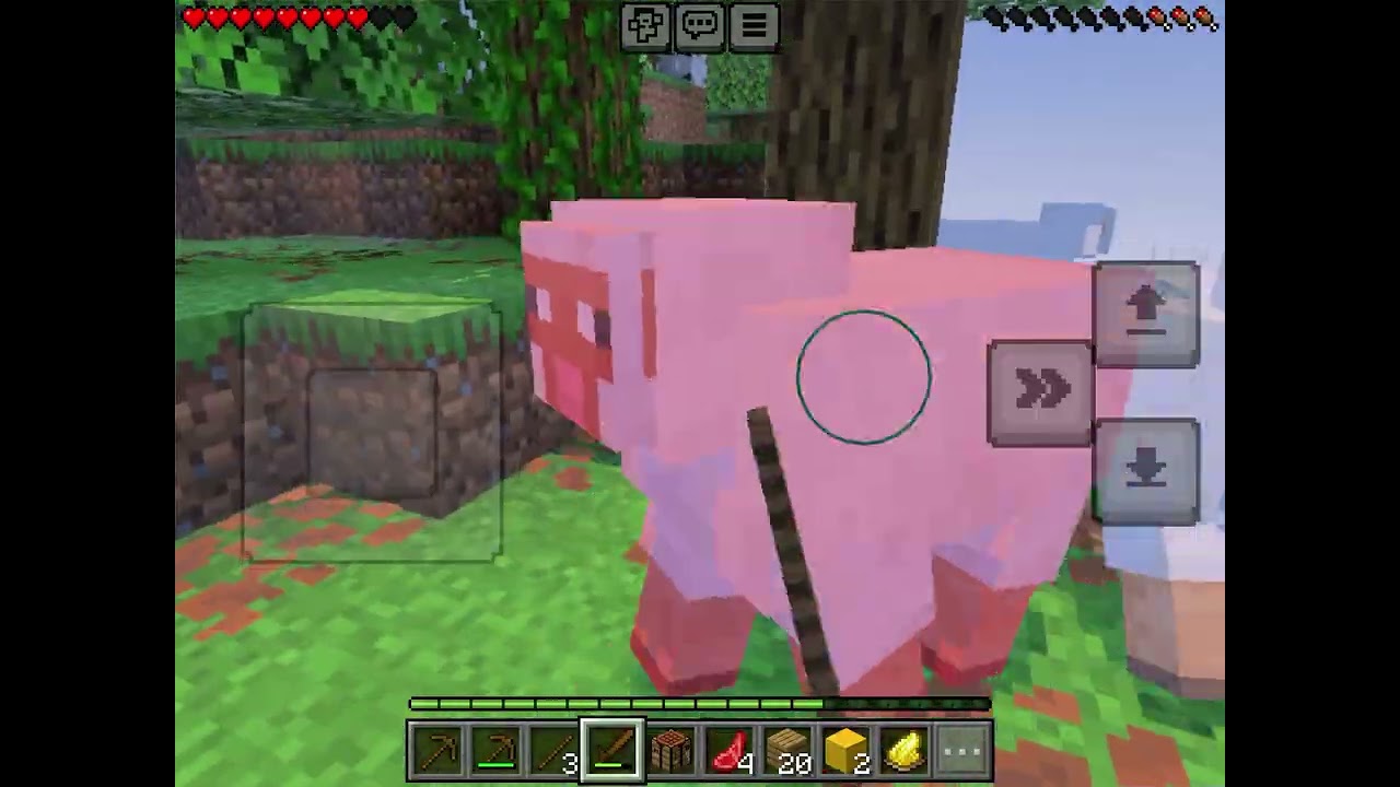 Minecraft pt1