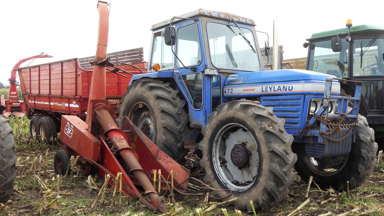 Mais Silage 2023 | Leyland 472 Synchro 4X4 tractor chopping corn