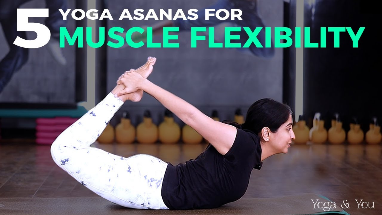 Yoga For Muscle Flexibility | Stretches For Muscles | Muscle Yoga | At Home Yoga