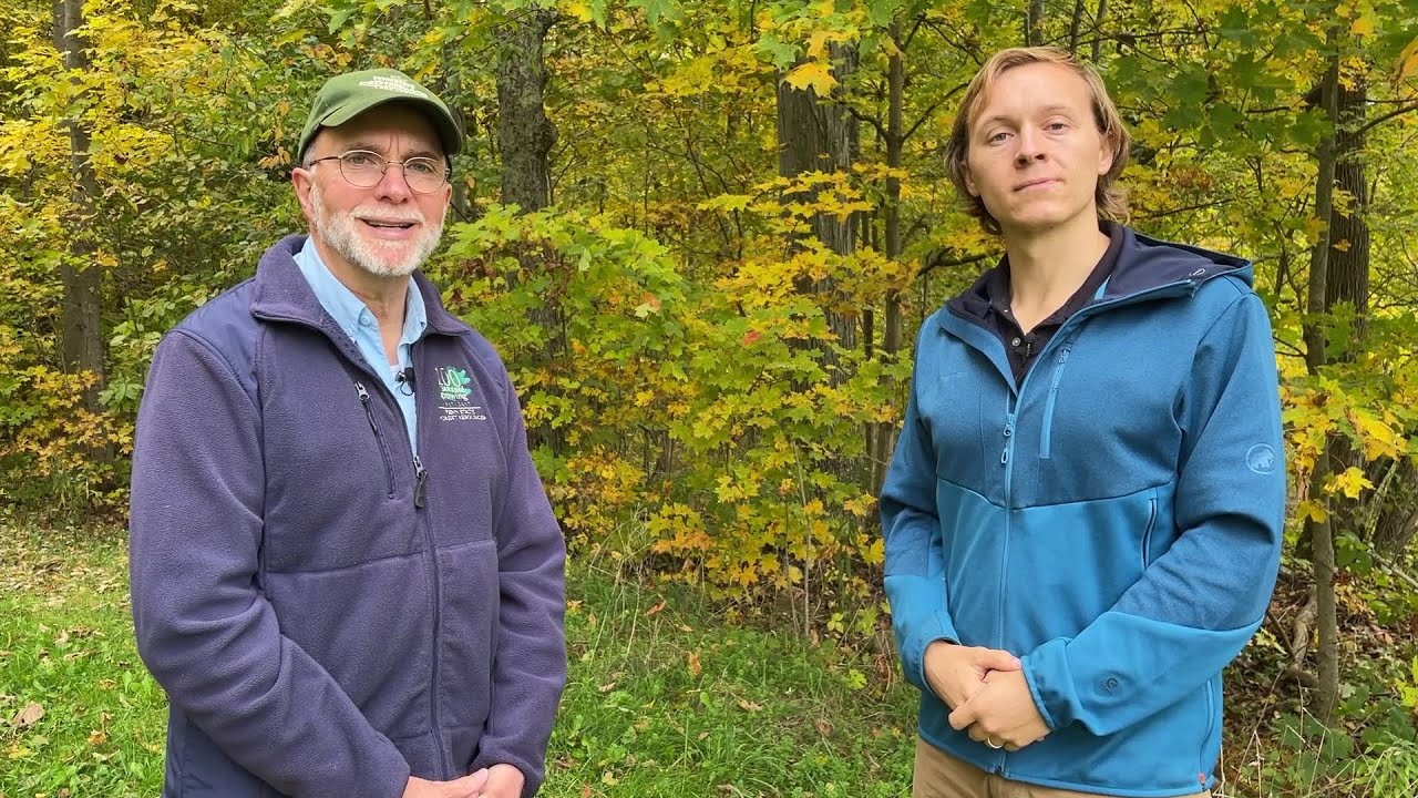 Woodland Wisdom No. 5: Carbon Credits and Forestland Owners