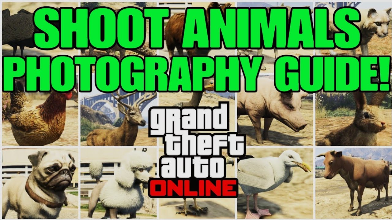 GTA Online: Руководство по фотосъёмке животных! Гарантированные места появления!