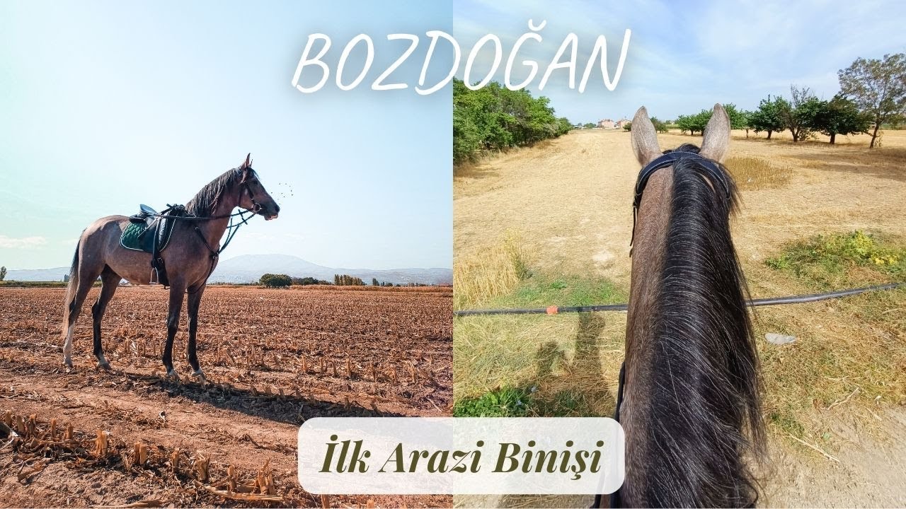 BOZDOĞAN ile ilk arazi binişi (DJI ACTION 2)