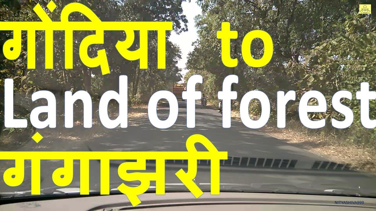 Gondia To Gangazari "Land of forest" | गोंदिया से गंगाझरी