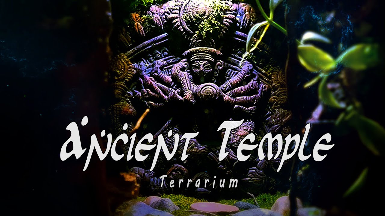How to build an Ancient Abandoned Temple Terrarium? || Fantasy Terrarium || Terrascaping