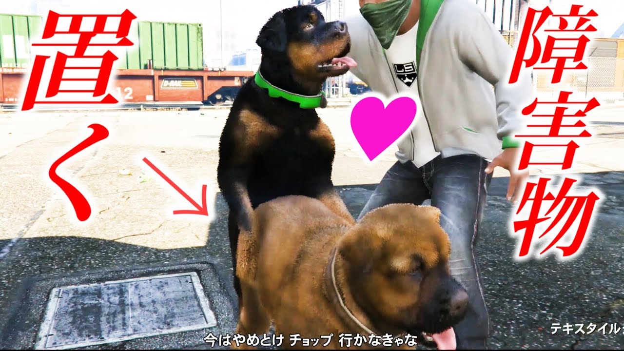 【ＧＴＡ５】犬の交尾シーンを障害物で邪魔したら・・【グラセフ５】検証　実況