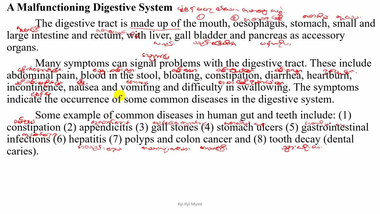 Grade 10 Chapter 4 A Malfunctioning Digestive System