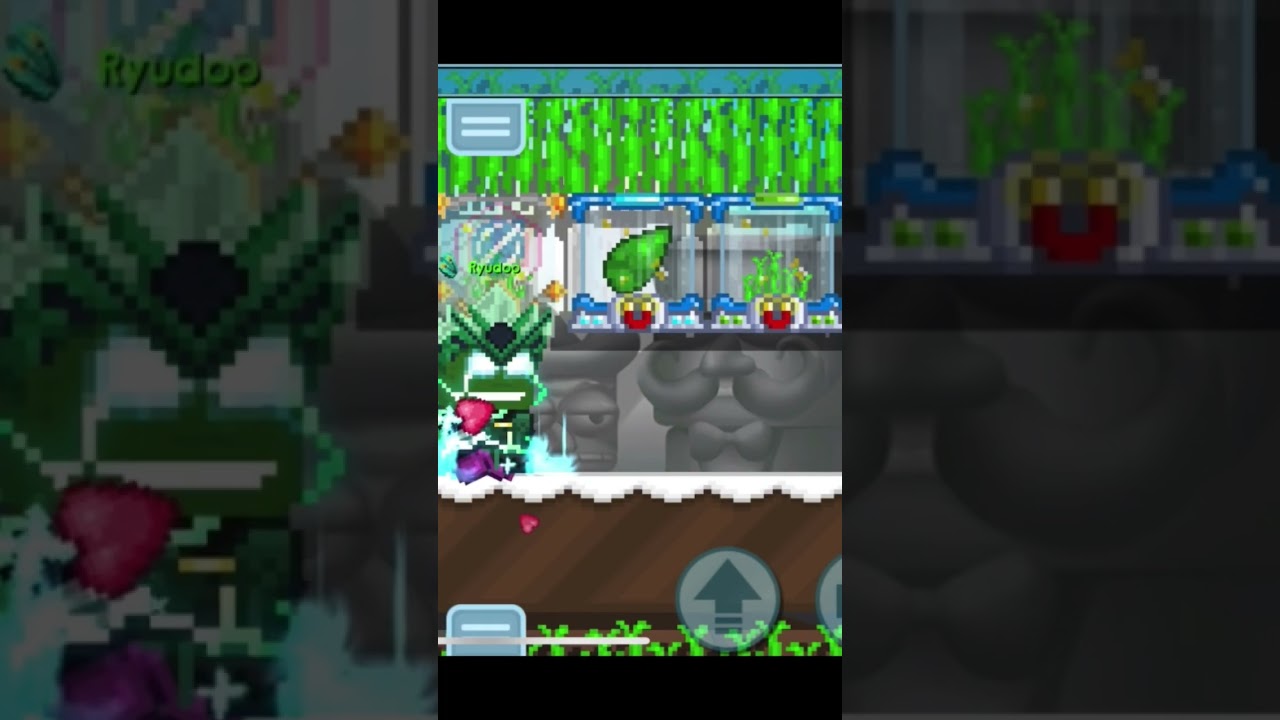 Second Magplant #growtopia #growtopiagame