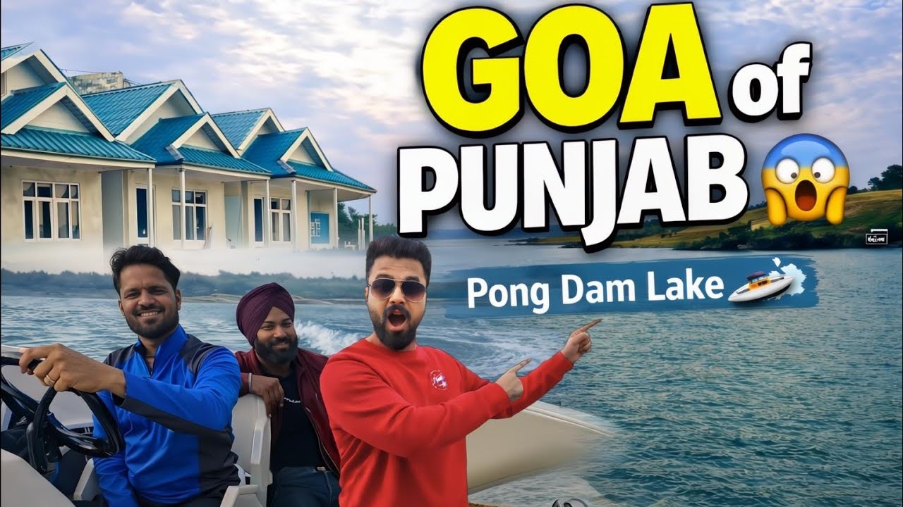 Explore PONG DAM's Hidden Gems in Punjab! | pong dam Talwara | Top Boating Place in pong dam punjab