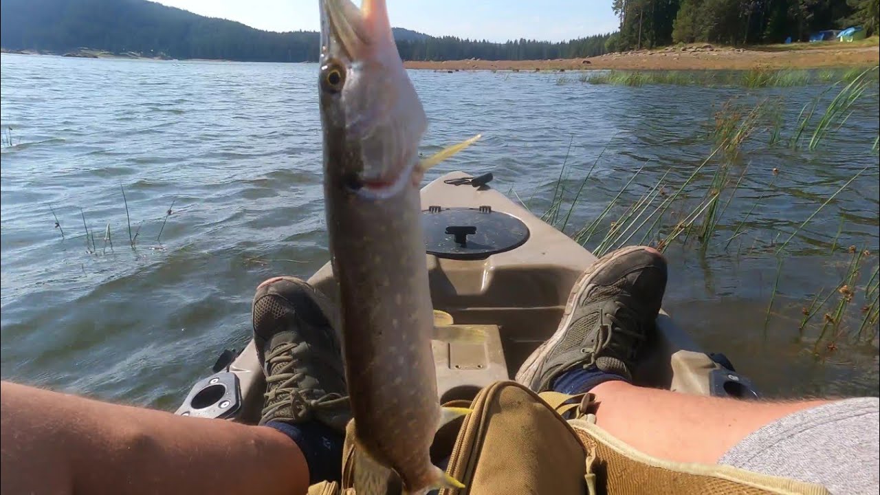 Язовир Широка поляна.За Щуки и костури в рая😃