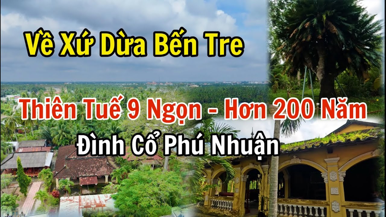 Đình cổ nam bộ ở Bến Tre và cây thiên tuế cổ thụ hơn 200 năm trở thành cây di sản Việt Nam.