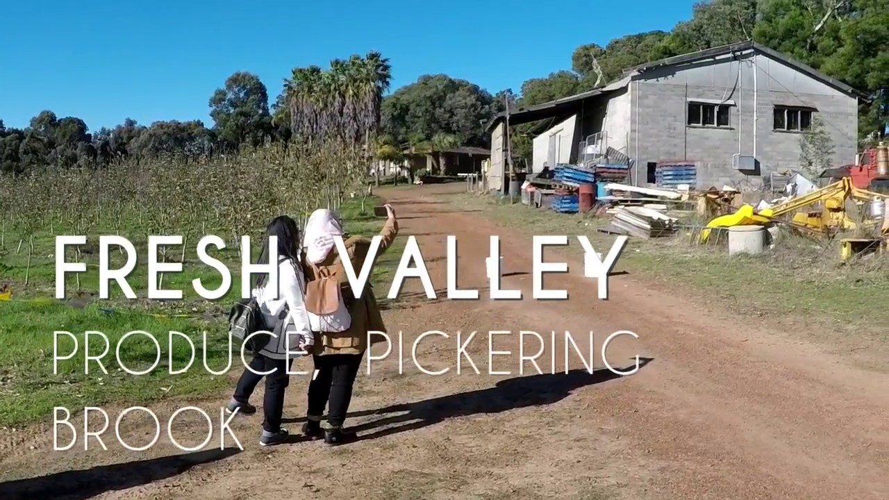 PERTH TRAVEL DIARY [DAY 1] - Picking Apples!