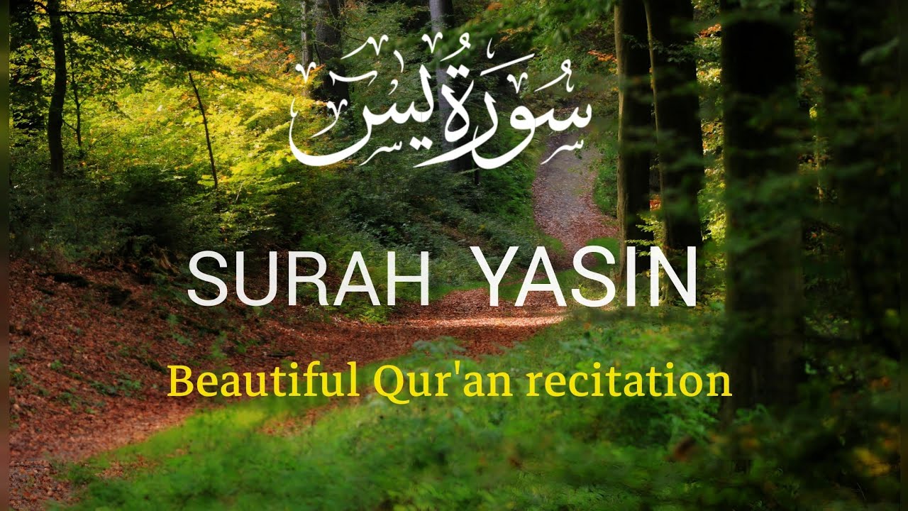Qur'an recitation really beautiful peace of mind heart touching #surahyaseen #quran 