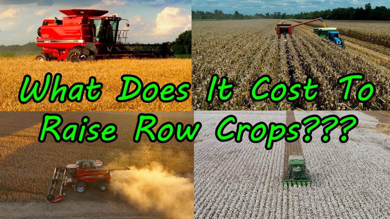 What Does It Cost To Grow Row Crops??? 2022 Version