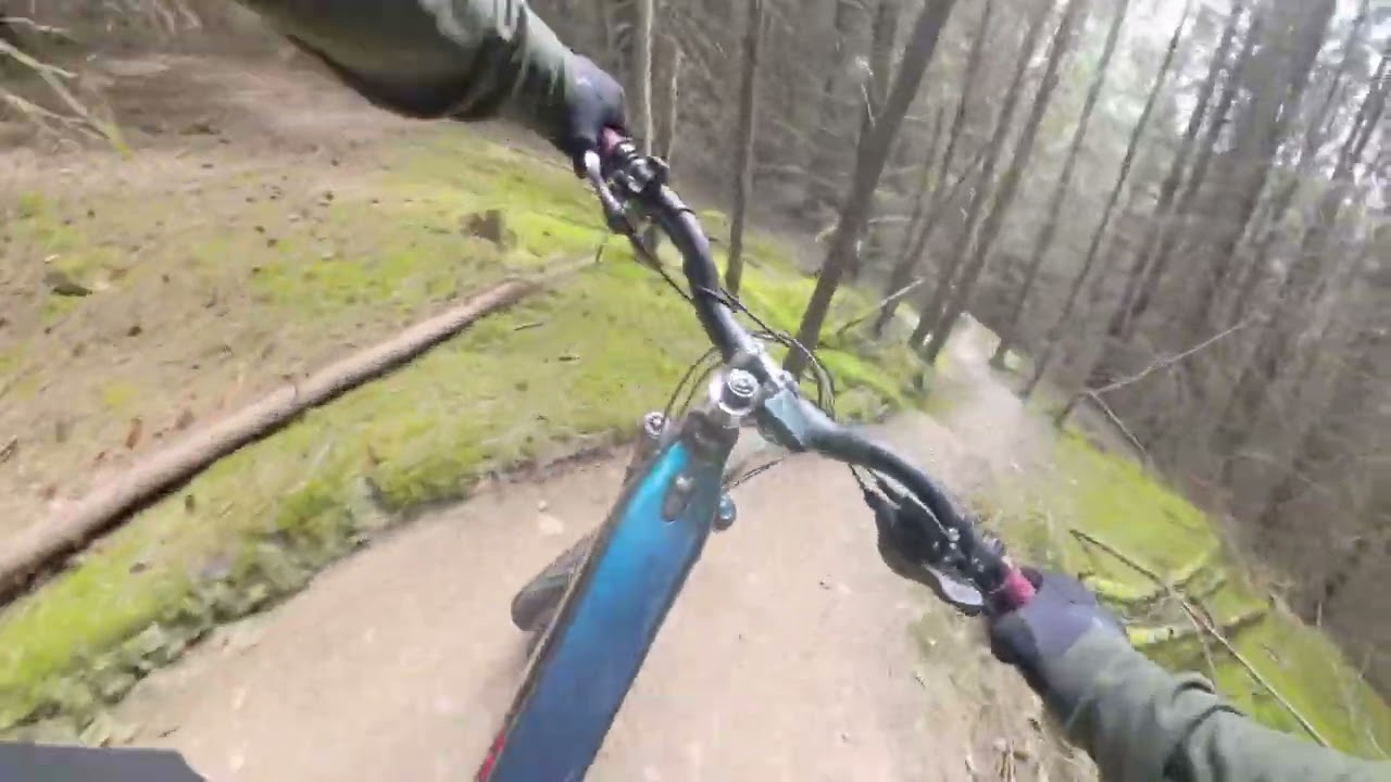 Glentress - Careless Whisper