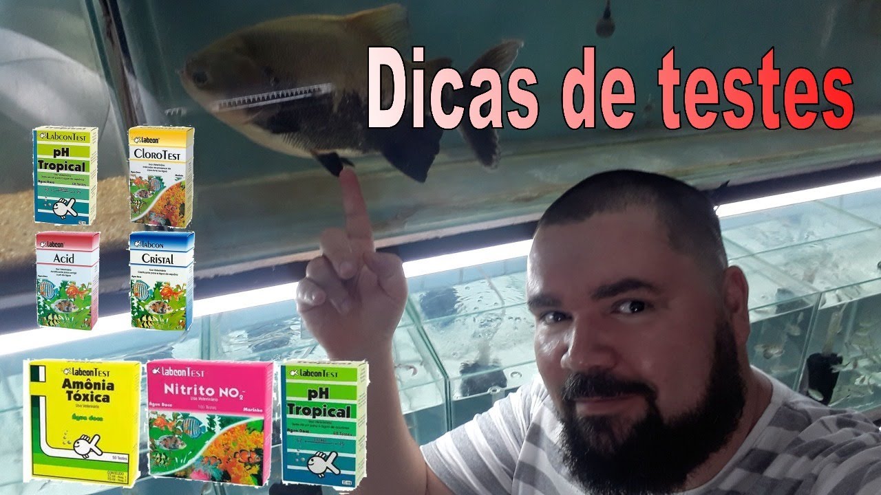 Dicas de uso de testes para aquário (Testes de parâmetros). Amônia, nitrato, nitrito, pH, cloro