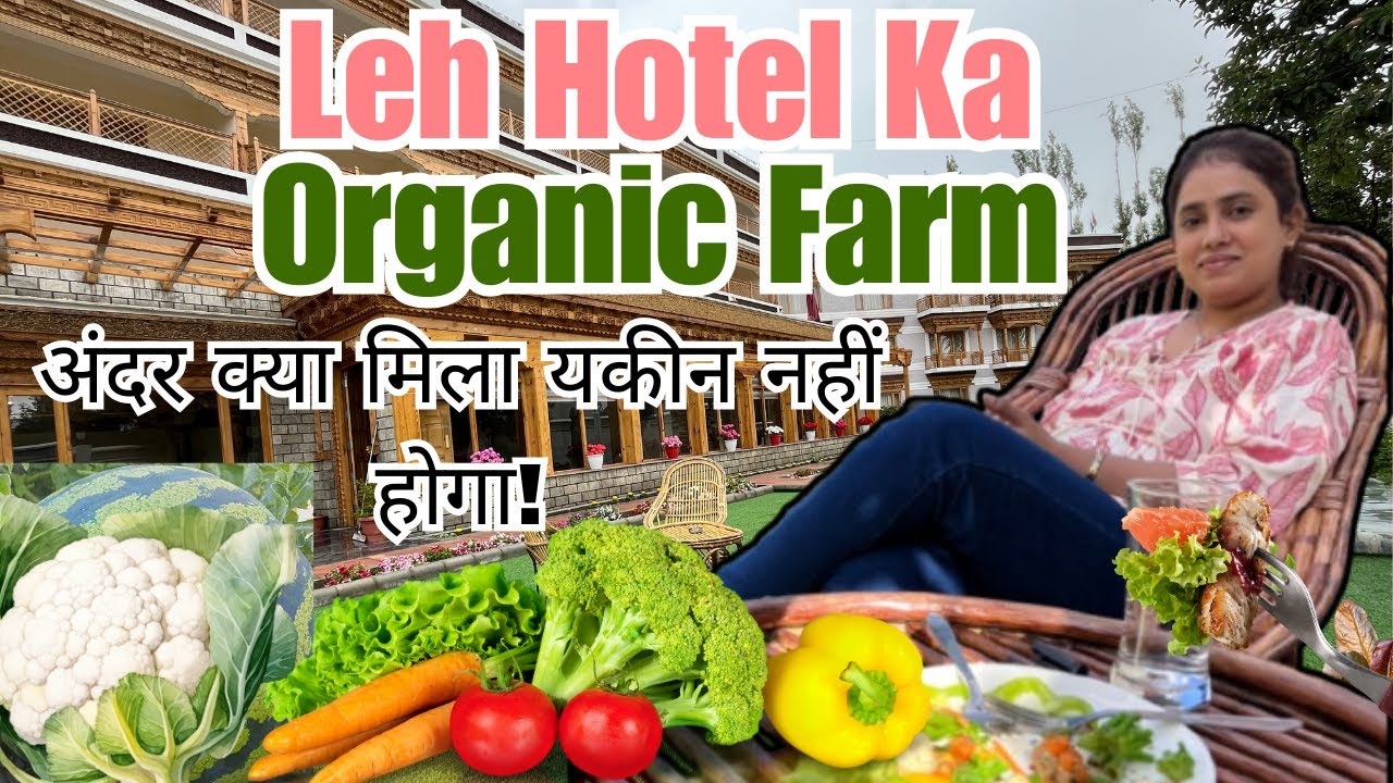 VLOG Aaj hum gye hotel ke back side m organic farm dekhne waha bhut masti ki #explore #travelvlog