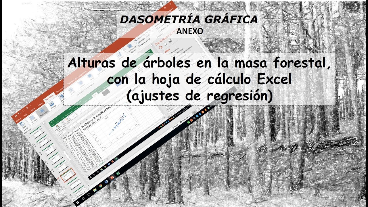 ALTURAS DE ÁRBOLES A TRAVÉS DE LA HOJA DE CALCULO EXCEL
