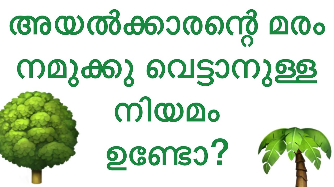 അയൽക്കാരന്റെ മരം നമുക്ക് വെട്ടാൻ നിയമം ഉണ്ടോ? |അയൽക്കാരന്റെ മരം ശല്യമാവുന്നുണ്ടോ? Tree cutting #tree