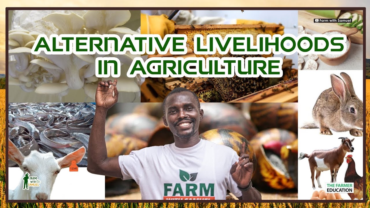 Branching Out: Diversifying Income Streams in Agriculture (Alternative Livelihoods in Agriculture)