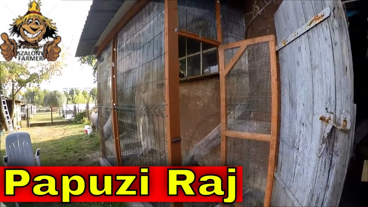 Woliera zewnętrzna wykończona! Stworzyłem papuzi raj?