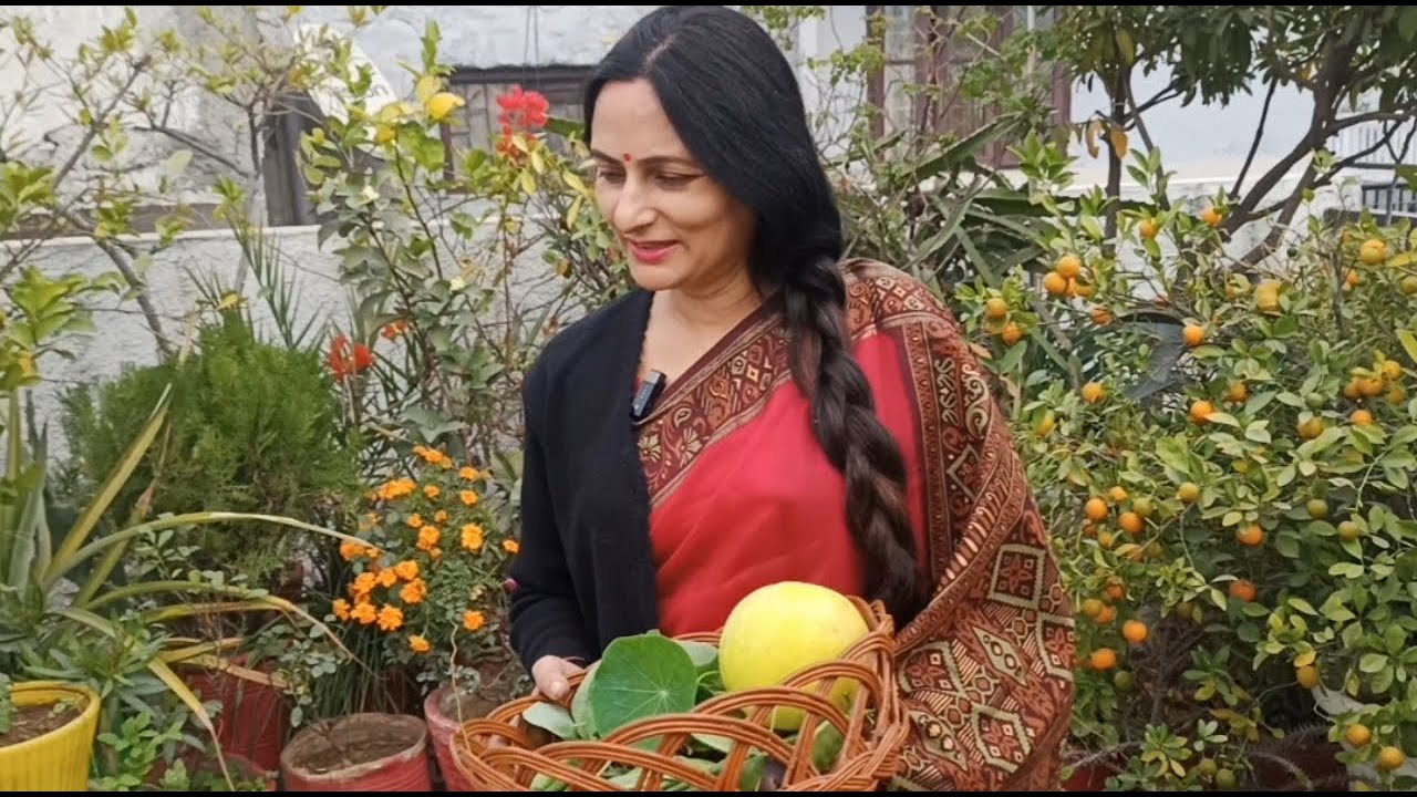 Harvesting winter vegetables and fruits from terrace garden | Rashmi's World - Create to Decorate