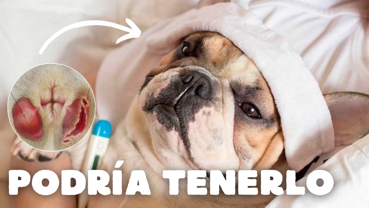 FISTULA ANAL ⚠️ *INFORMACIÓN IMPORTANTE*