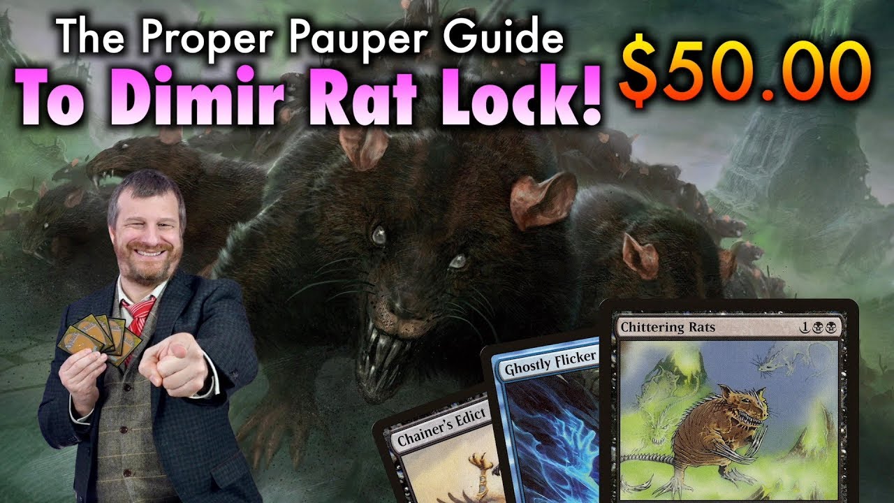 Rats! The Proper Pauper Guide To Dimir Rat Lock! A $50 Magic: The Gathering Deck