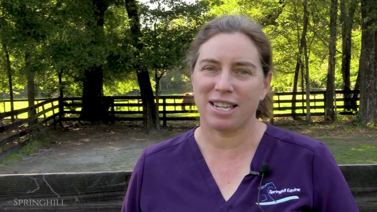 Meet Dr. Lacher!