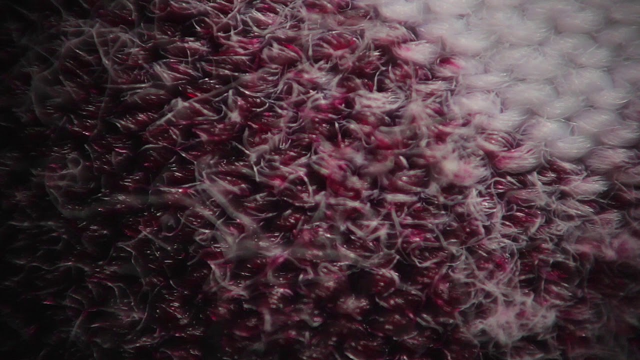 Macro Blood - Free Stock Footage